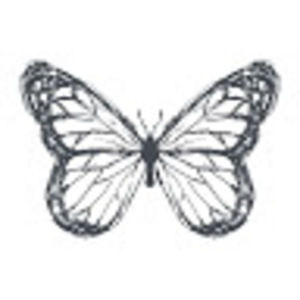 Meet your Posher, Mary caroline